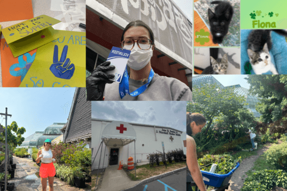 DCI remote staff volunteering around the U.S. for DCI Cares 2024