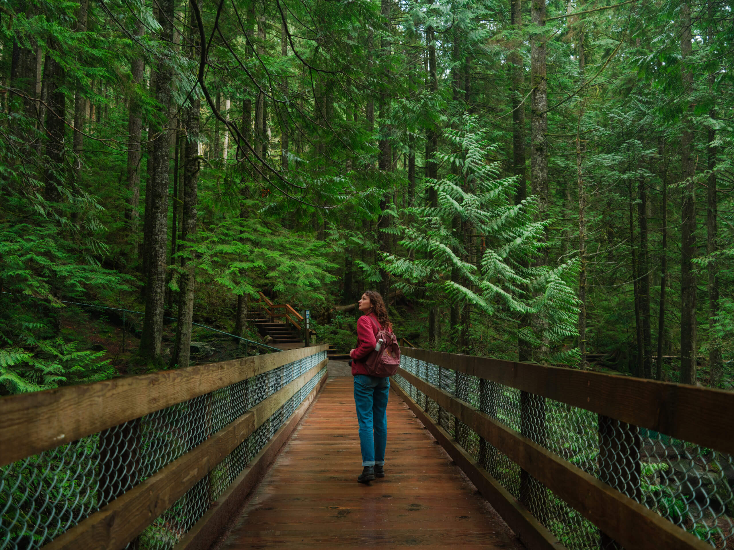 Woman standing on a bridge and looking out into a wooded area.